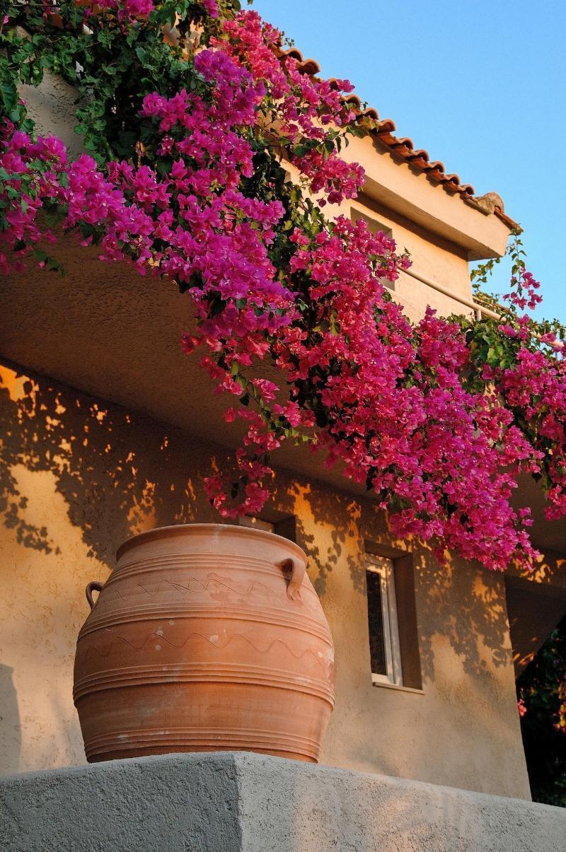 Paradise Island Villas Hersonissos  Exterior photo